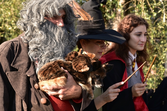 3 Una Giornata Fantastica alla Rocca di Lonato 570