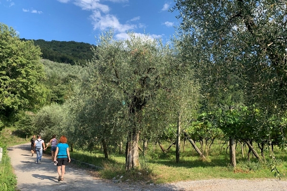 3 divin ottobre quarto week 570