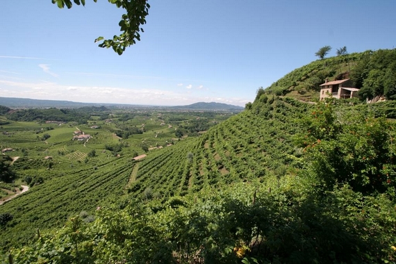 8507 Lowpaesaggio mundus colvetoraz 570