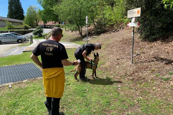 Dog Sport Experience ai Lidi di Comacchio 4 570