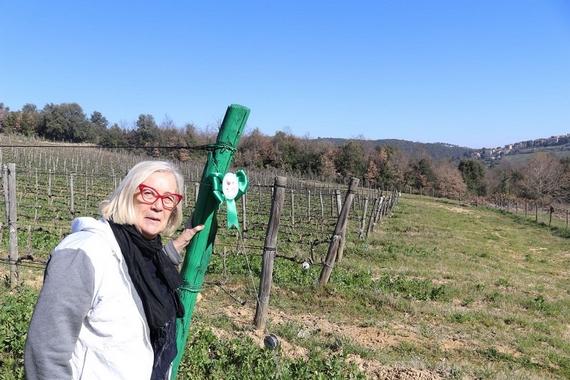 Donatella Cinelli Colombini 570