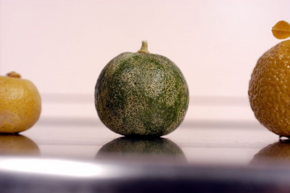 FRUTTA E VERDURA 570