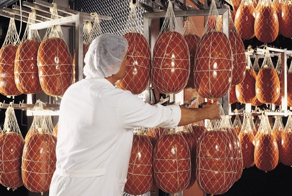 Galleria Mortadella-Bologna 09 570