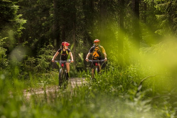Mountain Bike in Val dEga foto di jens-staudt 14 570