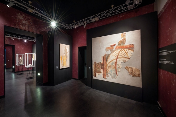 Museo Dorsi 570