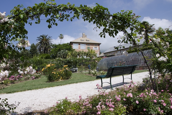 PARCHI DI NERVI 3 570