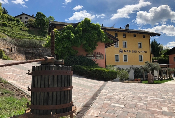 PicNicViviLaVigna FototecaMasDeiChini 570