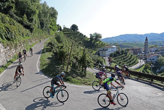 Prosecco Cycling Discesa tra le colline 570
