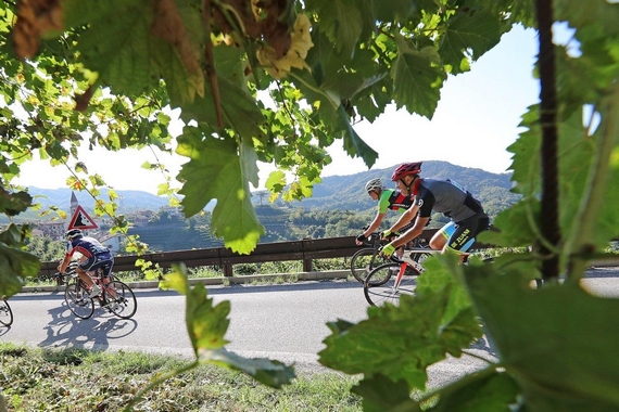 Prosecco Cycling Passaggio tra i vigneti 570