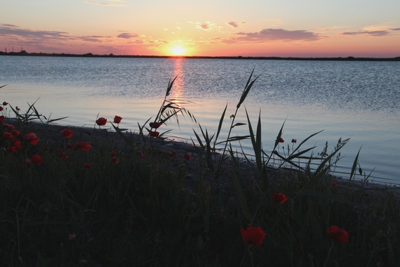 Visit Ferrara - Valle Campo - credit Chiara Vassalli 12 570