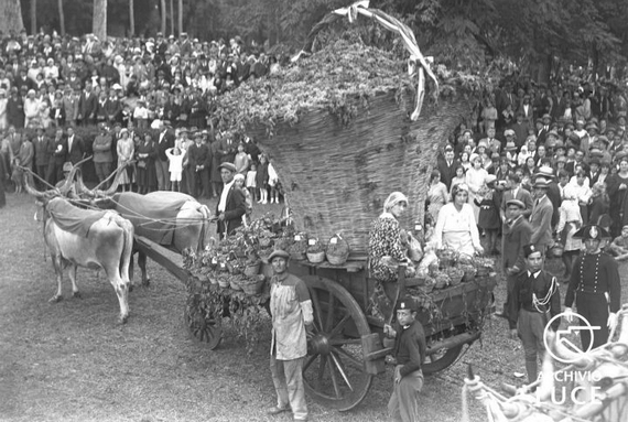 archivio-storico-luce-roma-giornata-nazionale-delluva-28-settembre-1930 570