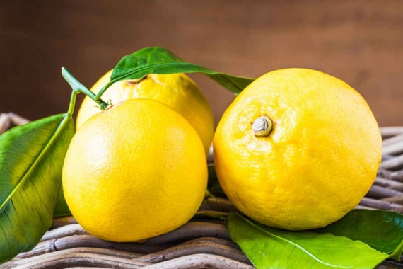 bergamotto frutti- gialli 570