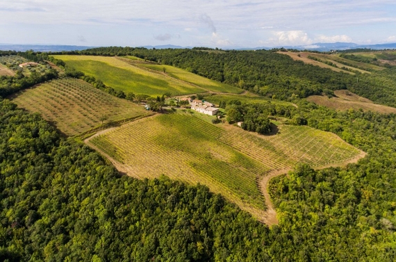 carpineto-tenuta-di-montalcino---dallalto 570