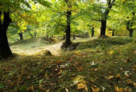 castagnecivitella-570