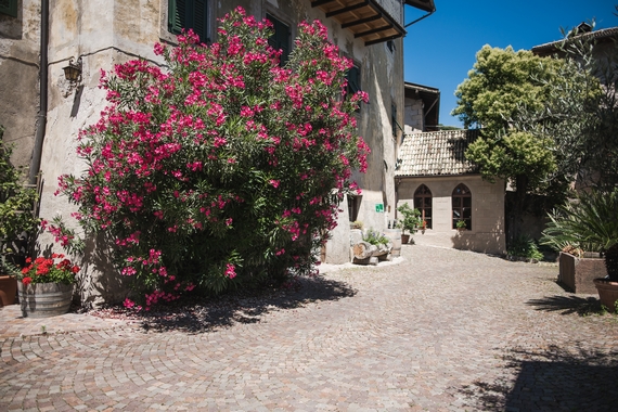 cespuglio casa 570