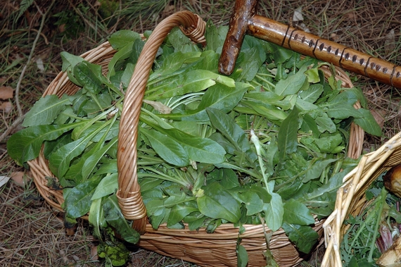 cestino di erbe e verdure 2 570