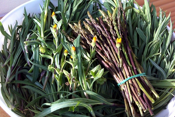 cestino di erbe e verdure 570