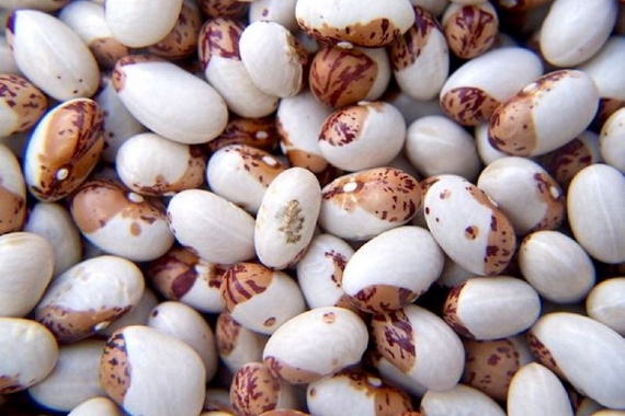 fagioli-di-sarconi-igp 2 570