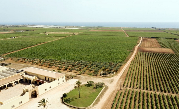 gorghi-tondi tenuta 570