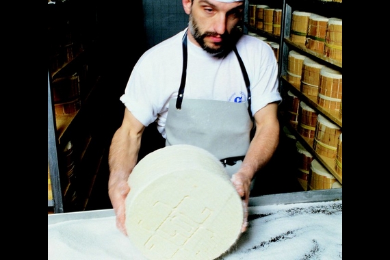 gorgonzola dop casaro 570