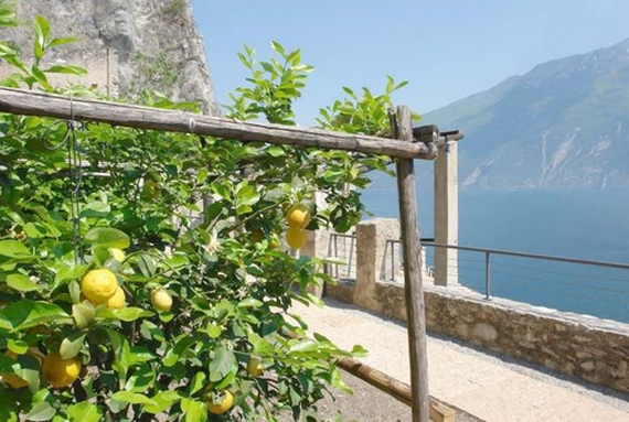 limonaie-del-garda 570