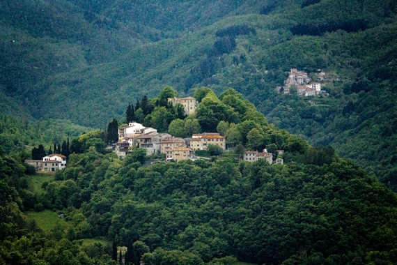marrone caprese di michelangelo comune 570