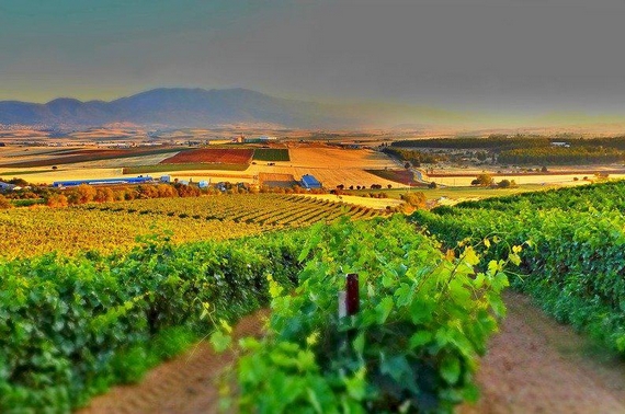 paesaggio rurale 570