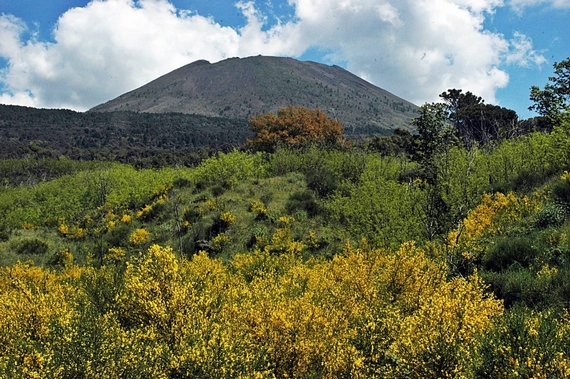 panorama natura 570