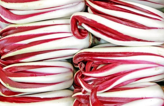 radicchio-rosso-di-treviso- 570