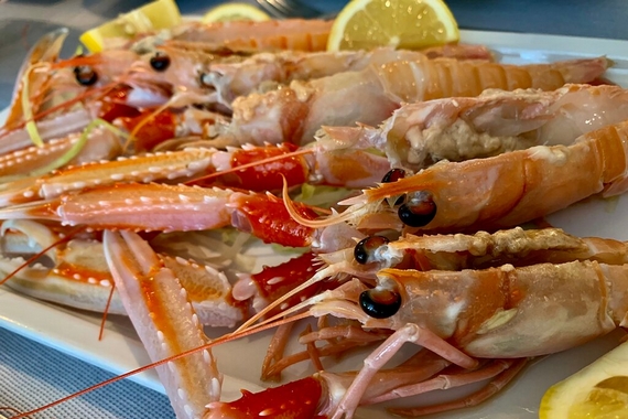 ristorante extasi gamberoni 570