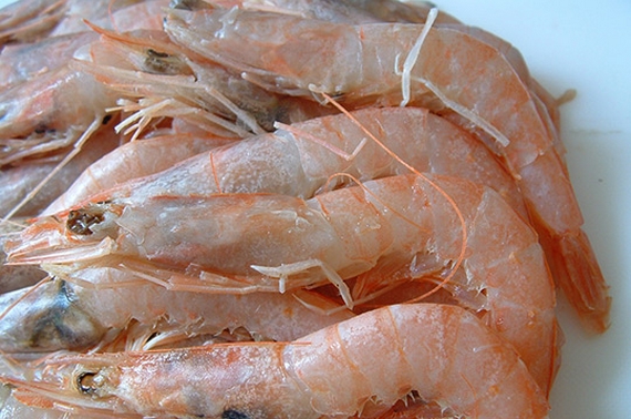 slow fish 2021 mediterraneo a rischio 3 570