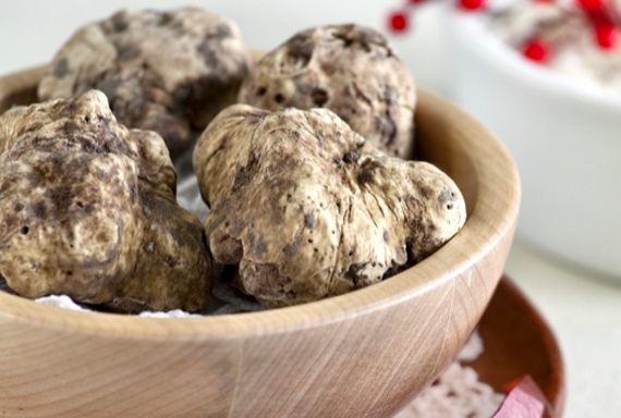 tartufo fiera san baudolino 1 570