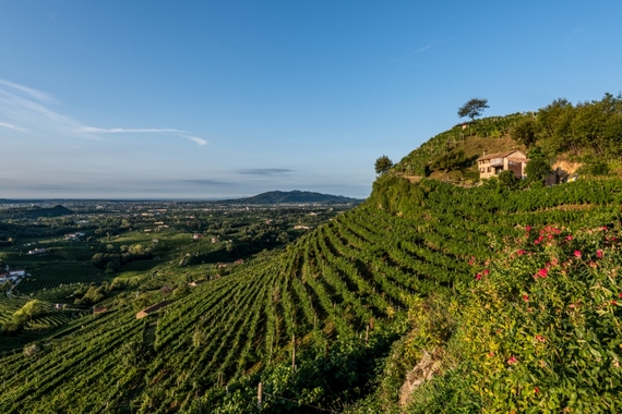 territorio valdobbiadene-docg 570