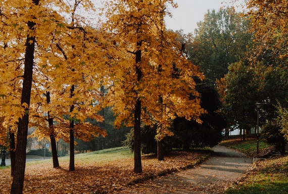 torino-foliage-al-parco-del-valentino-ph-simona-sergi-unsplash 570
