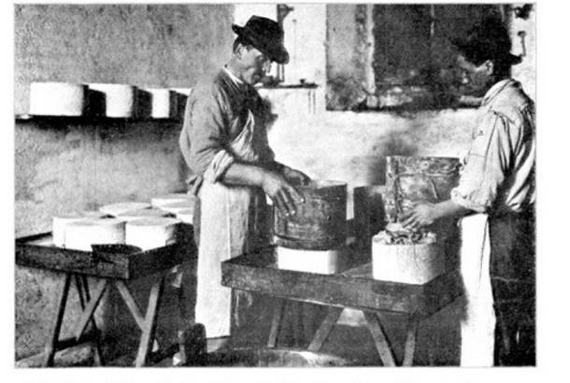 valle-dei-formaggi-gorgonzola-valsassina- 570