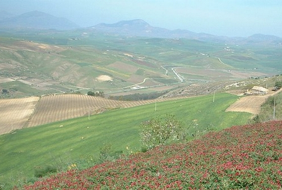 valle belice 570