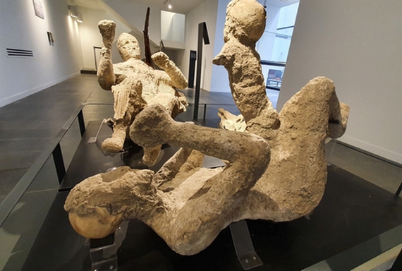 1 dna pompei 570