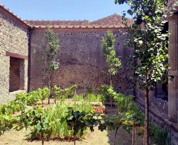 1 pompei nuova gestione 570
