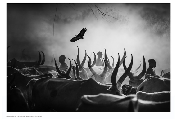 21 Svetlin Yosifov - The shadows of MundariSouth Sudan 570