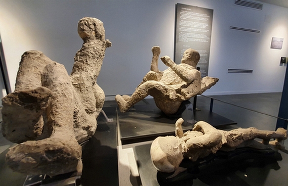 2 dna pompei 570