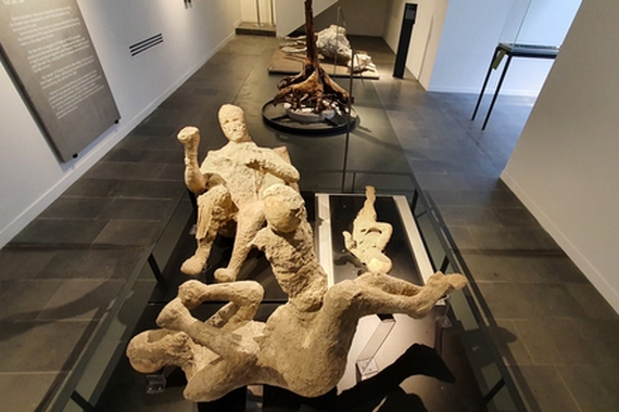 4 dna pompei 570
