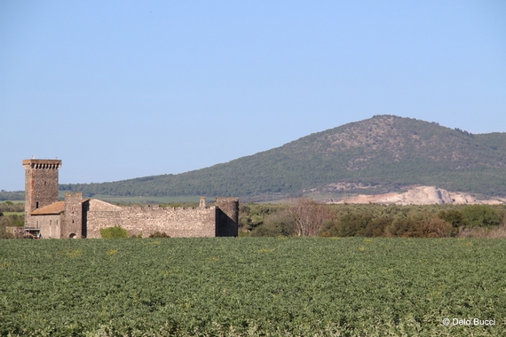 CASTELLO DELL ABBADIA - CANINO 570