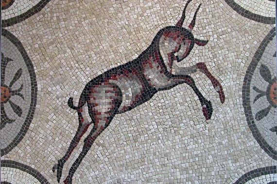 Capra mosaicisti fiuli 570