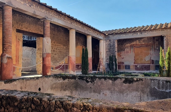 Casa dei Dioscuri 2 570
