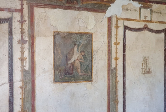 Casa dei Dioscuri 3 570