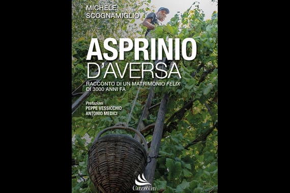 asprinio daversa scognamiglio 570