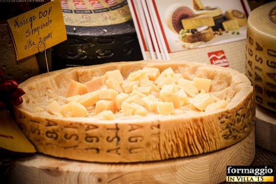 formaggi in villa 5 570