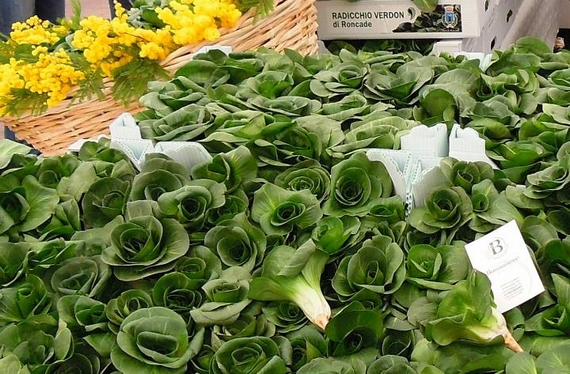 radicchio verdon fiera 1 itin 22 570