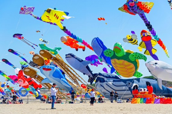 36-ARTEVENTO-CERVIA-Davide-Baroni-scaled 570