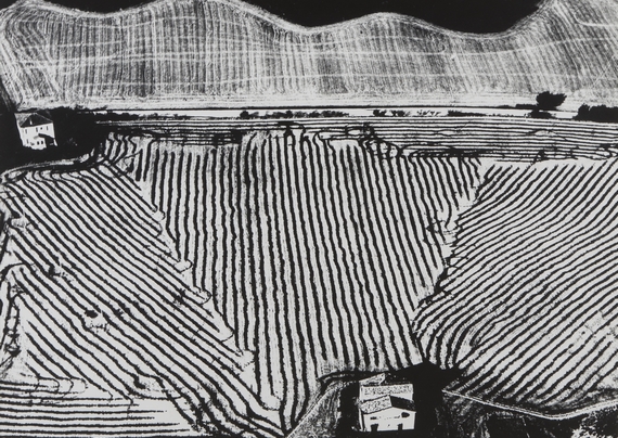 5. M.Giacomelli Serie PRESA DI COSCIENZA SULLA NATURA 570